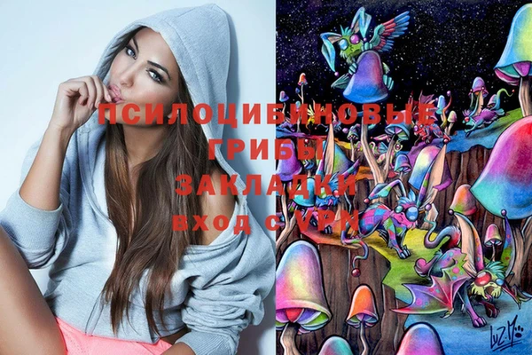 дмт Аркадак