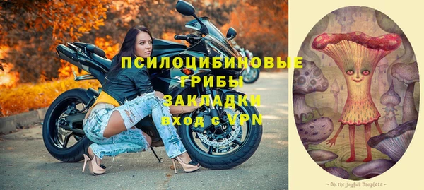 прущий лед Арсеньев