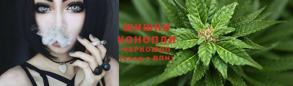 прущий лед Арсеньев