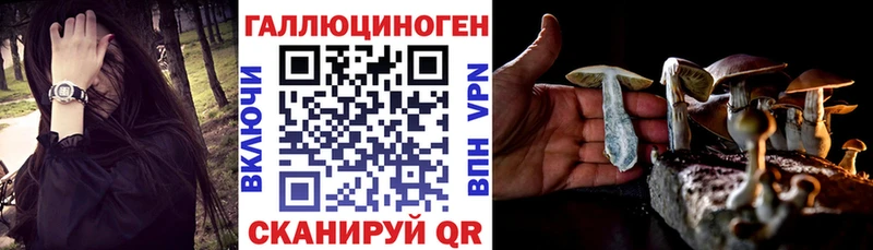 Псилоцибиновые грибы Psilocybe  Снежногорск 